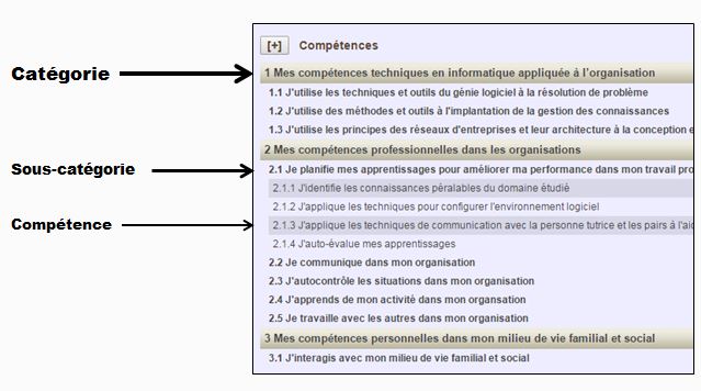 CompetencePlus-1