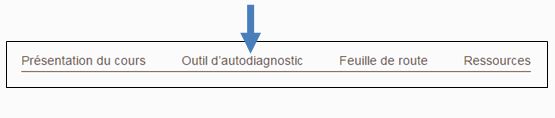 presentation-fig-outilDiagnostic